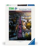 Пазл 1500 00730 Бонн в цвету